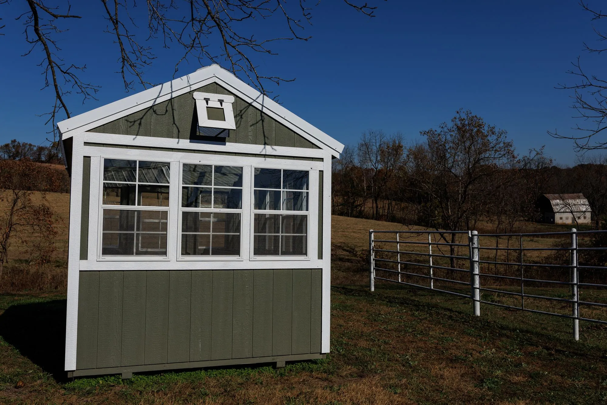 Greenhouse with olive-green siding, white trim, windows all round, on the Hawthorn lot in Rocky Comfort, Missouri