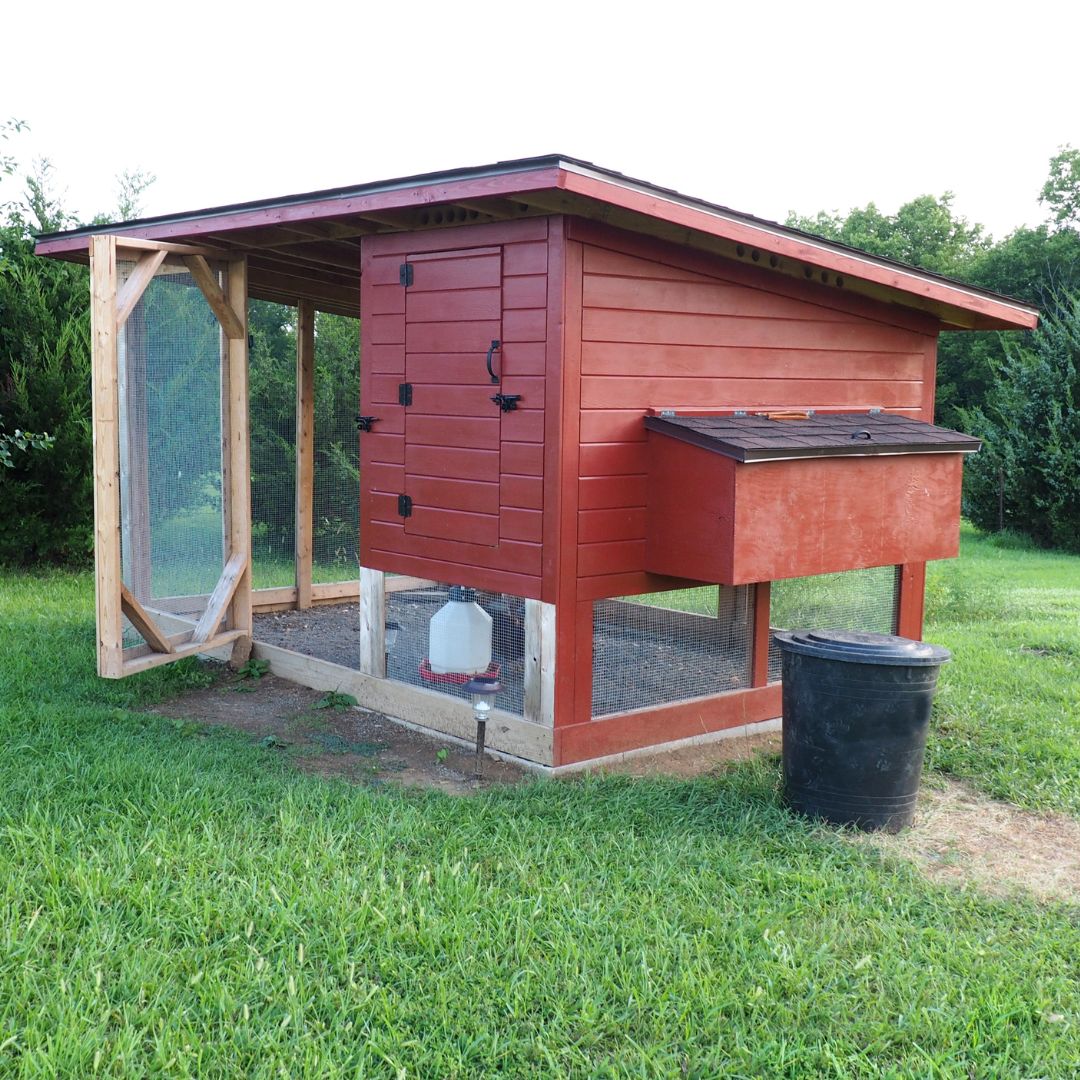 Red backyard chicken coop